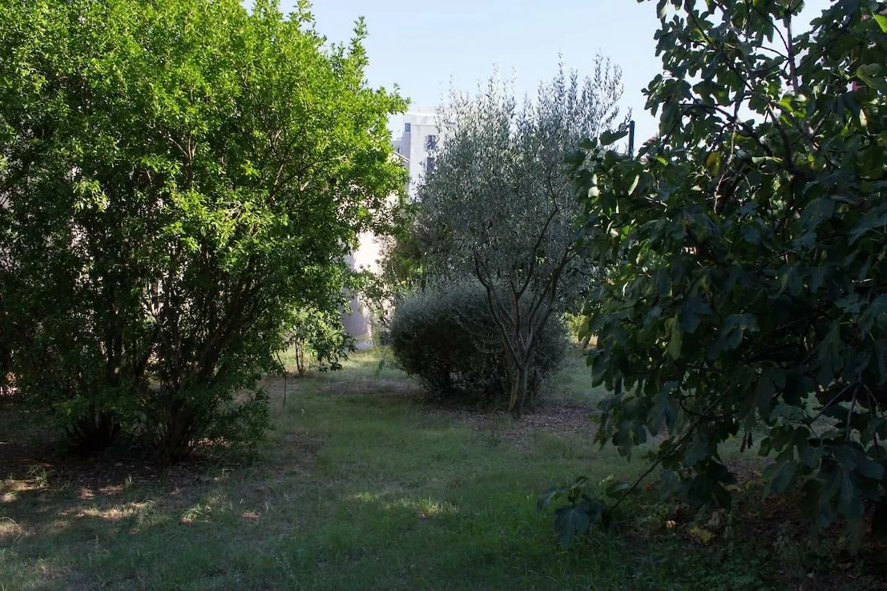 Apartment Zora Pula